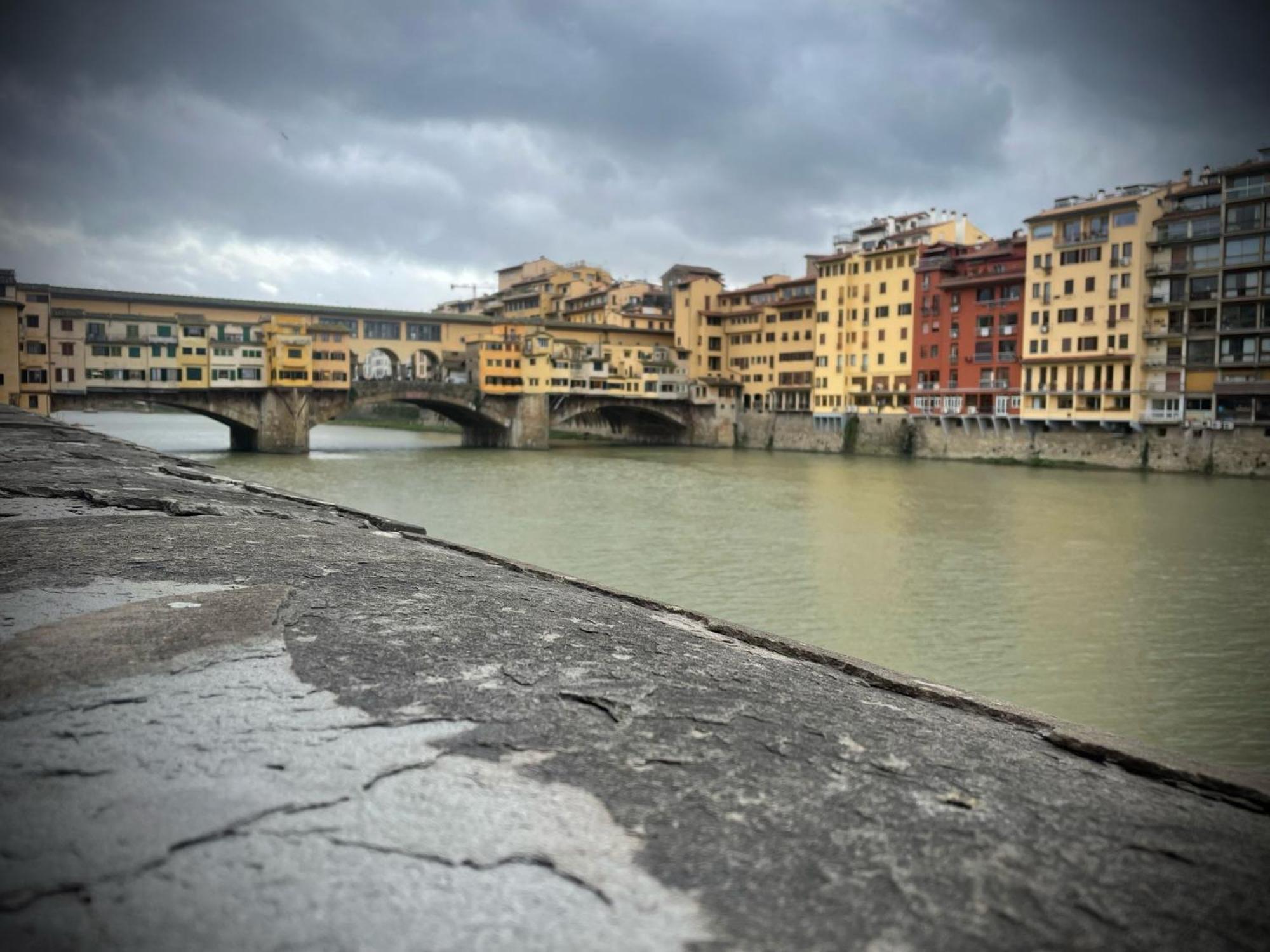 Designer In * Florencia